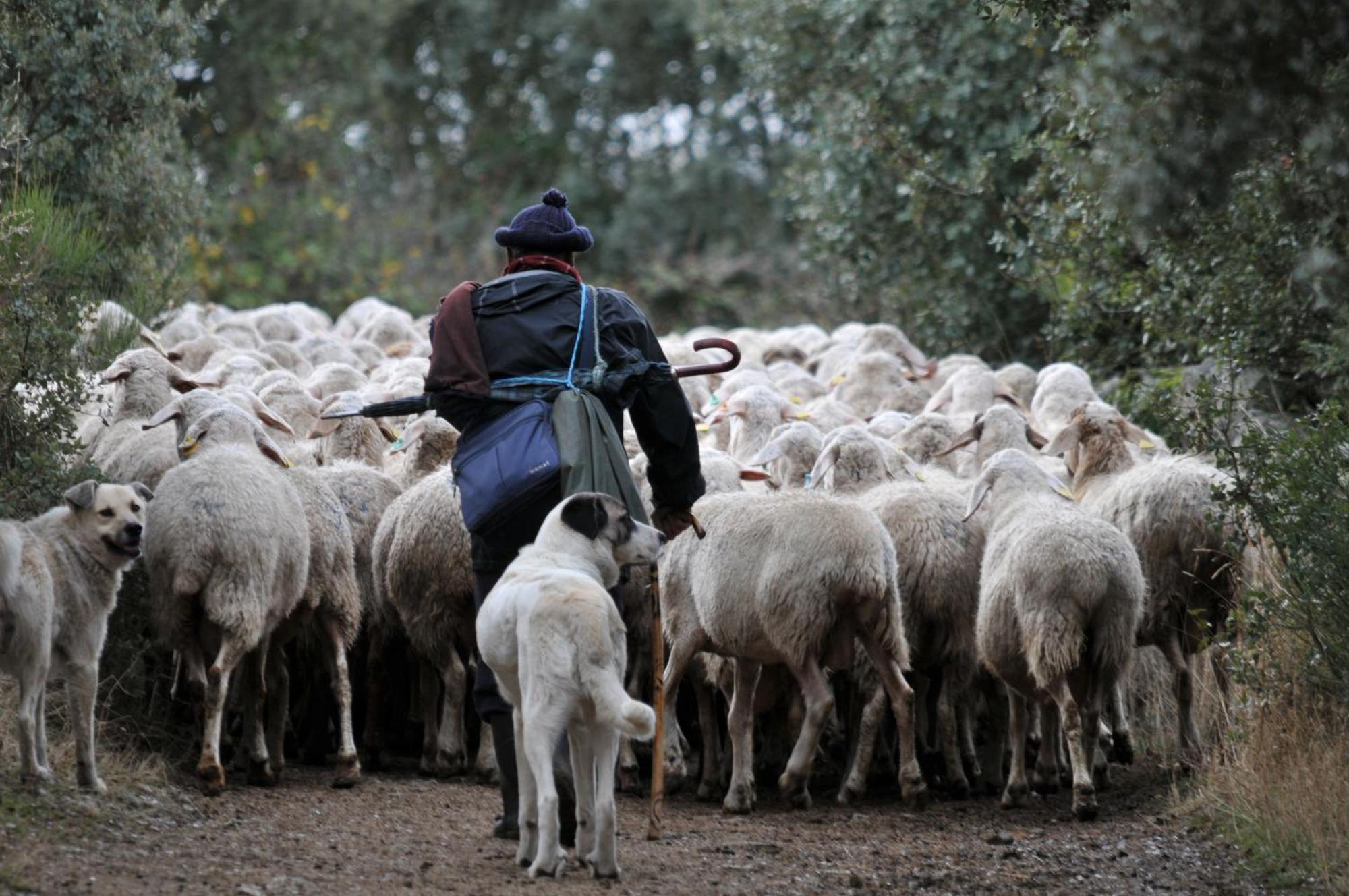 Posada Real La Mula De Los Arribes Villardiegua de la Ribera Esterno foto