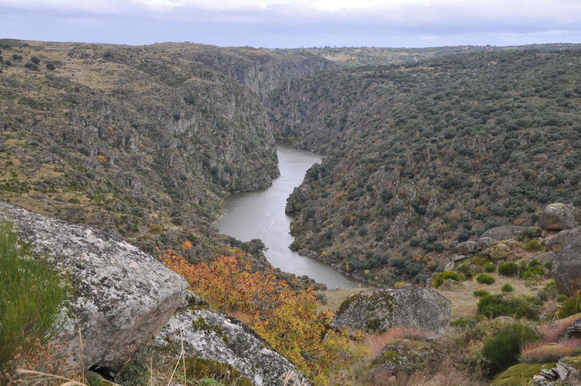 Posada Real La Mula De Los Arribes Villardiegua de la Ribera Esterno foto